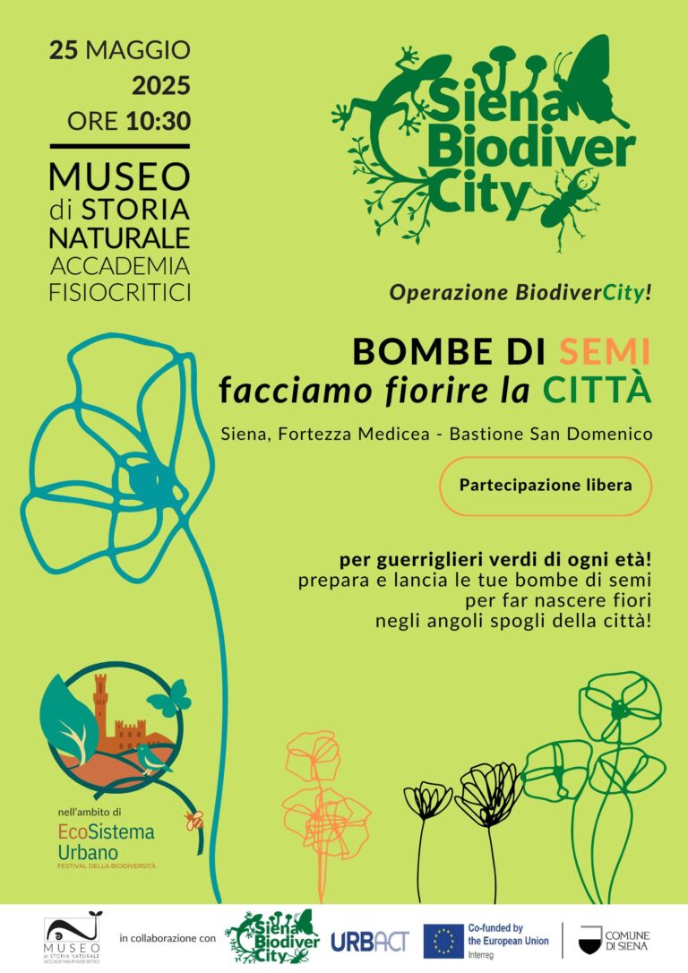 Operazione BiodiverCity! – BOMBE DI SEMI: FACCIAMO FIORIRE LA CITTÀ!