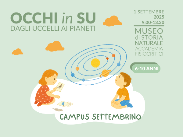 Occhi in su: dagli uccelli ai pianeti – Campus settembrino