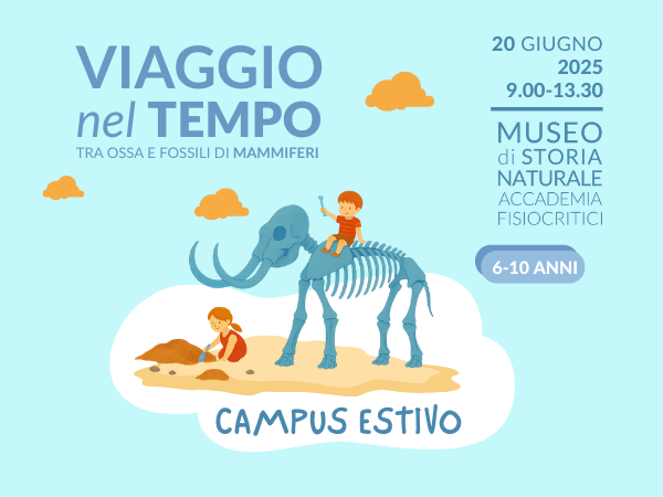 Viaggio nel tempo tra ossa e fossili di mammiferi Viaggio nel tempo tra ossa e fossili di mammiferi